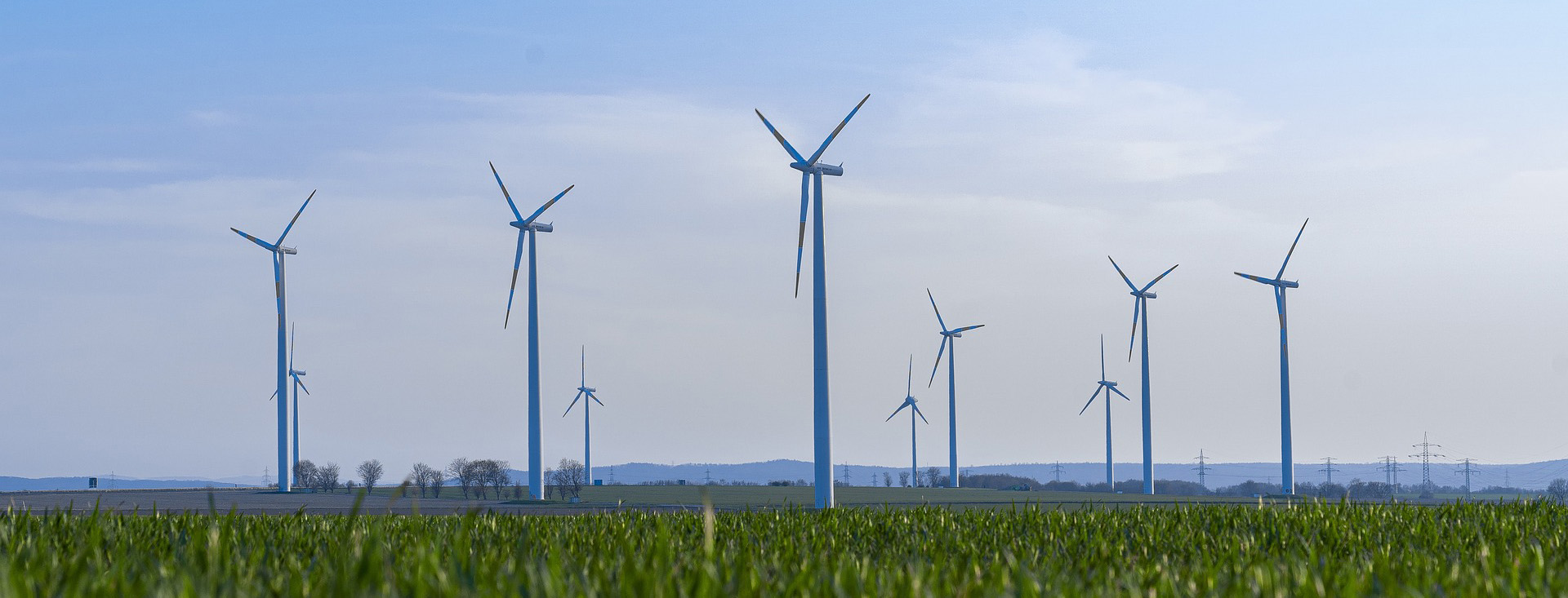 Meadow with windmills on the horizon.
